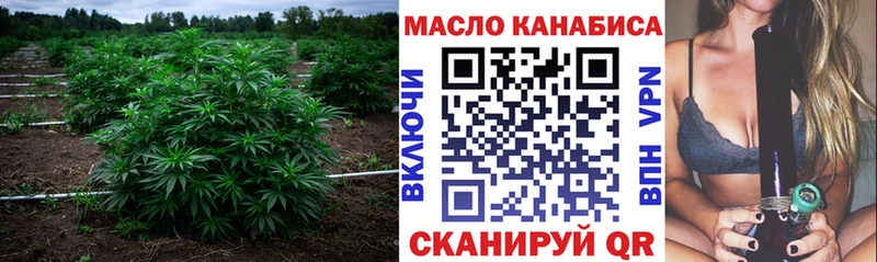магазин продажи   omg зеркало  ТГК концентрат  Чердынь 